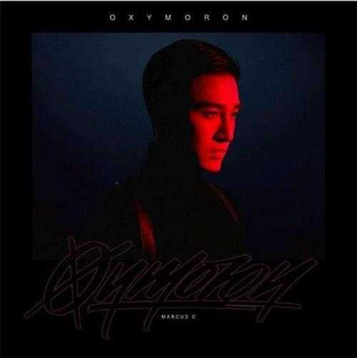 张立昂.2019-Oxymoron矛盾体（EP）【SONY】【FLAC分轨】