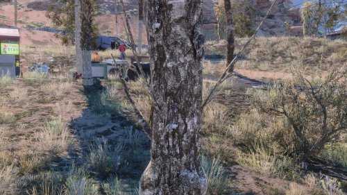《赛博朋克2077》最新高清纹理MOD：彻底改造所有树木